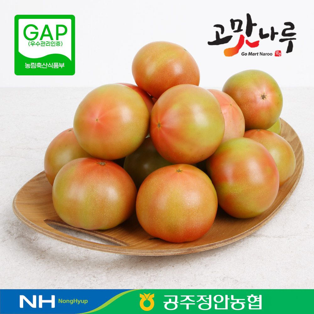 정안농협 공선회 토마토 5kg (대/1번/2번/랜덤발송)(조기완판)