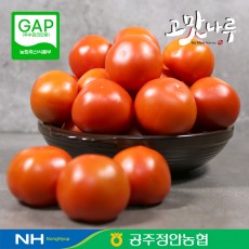 정안농협 공선회 토마토 5kg (대/1번/2번/랜덤발송)(조기완판) 내년 4월에 찾아 뵙겠습니다. 감사합니다.